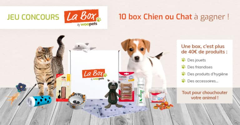 10 Box Woopets Pour Chien Ou Chat Offertes Mes