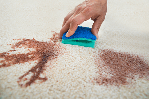 Nettoyer un tapis avec du percarbonate de sodium