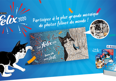 concours purina 1