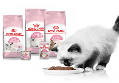 Un Mois D Alimentation Pour Chat Royal Canin Offert Gagnants Mes Echantillons Gratuits Un Mois D Alimentation Pour Chat Royal Canin Offert Gagnants Mes Echantillons Gratuits
