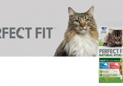 perfect fit natural vitality chats