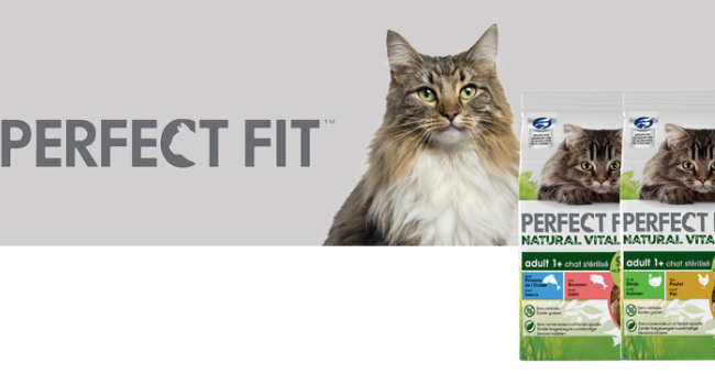 perfect fit natural vitality chats
