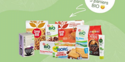 paniers de produits alimentaires bio