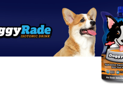 boissons pour chiens doggyrade 1