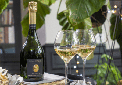 Concours Terre de Vins Gagnez 7 bouteilles de champagne