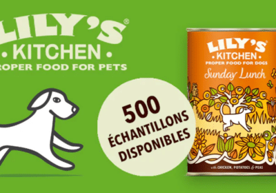 500 echantillons gratuits de Sunday Lunch de Lilys Kitchen pour chiens