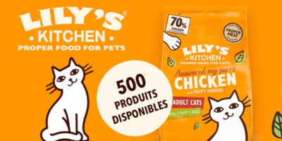 500 echantillons gratuits de croquettes pour chats Casserole Chiken de Lilys Kitchen 2